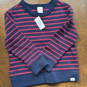 Toddler boy GAP sweater